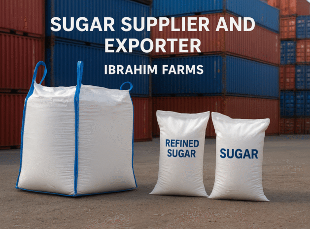 ChatGPT Image Nov 18, 2025, 11_49_25 AM