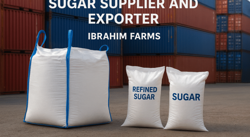 ChatGPT Image Nov 18, 2025, 11_49_25 AM