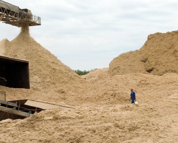 bagasse field ibrahim frams