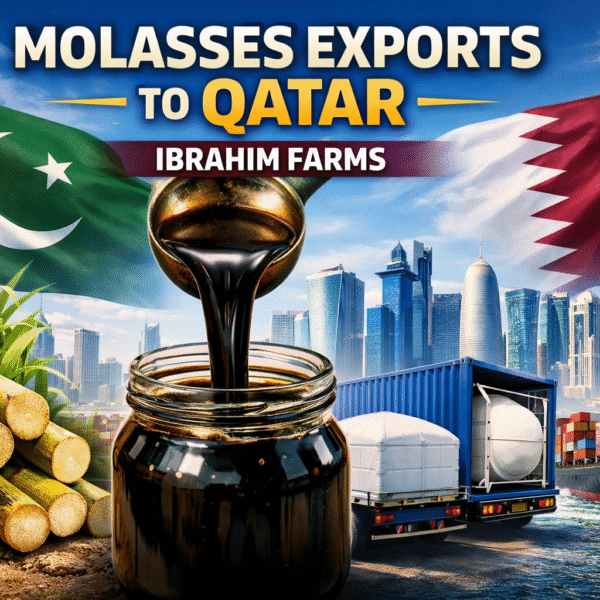 bulk black molasses Qatar